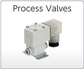 Process Valves