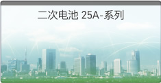 二次电池 25A-系列